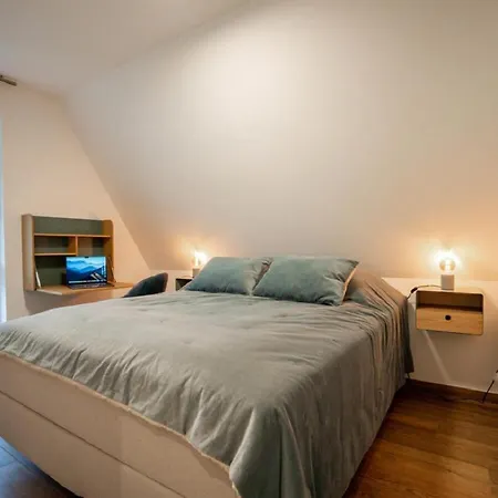 Reetsnacker - Mit Kamin, Sauna Und Whirpool Fuer 8 Personen *